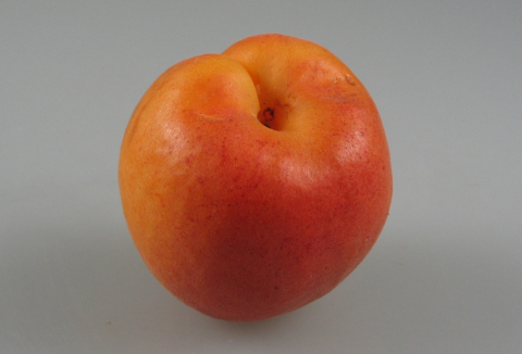 ovoce-06-merunky-pinkcot.jpg